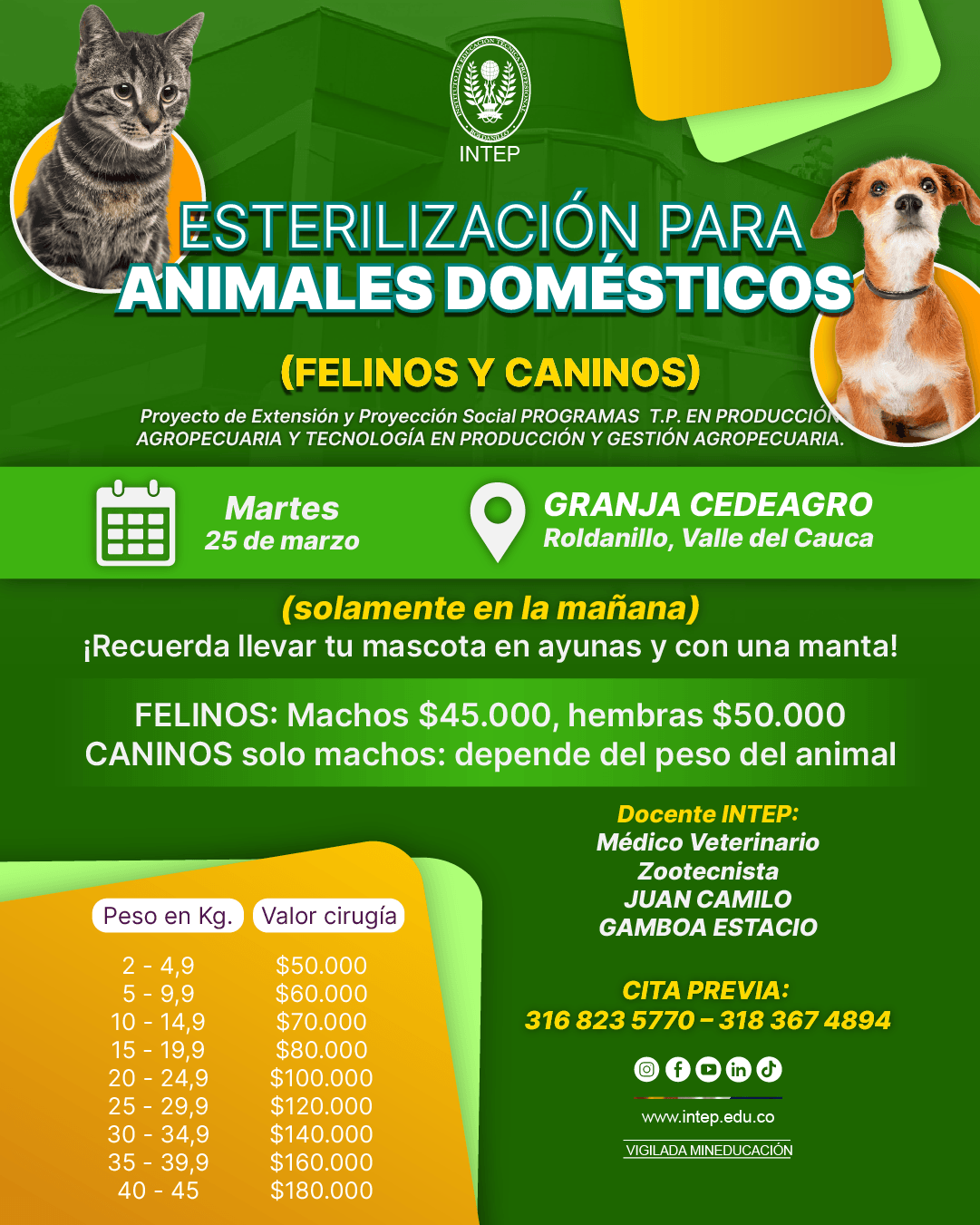 Jornada de Esterilización para animales domésticos (Felinos y caninos). 