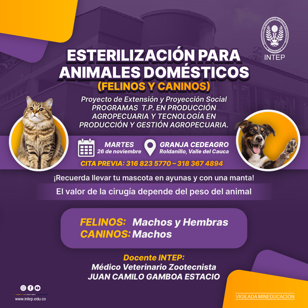 Jornada de Esterilización para animales domésticos (Felinos y caninos)