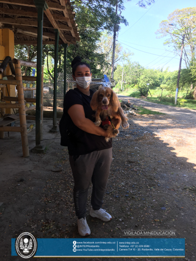 TODO UN ÉXITO LA JORNADA DE ESTERILIZACIÓN (Felina y Canina)