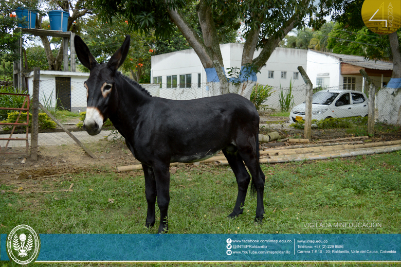 Adquisición de unidades biológicas en CEDEAGRO