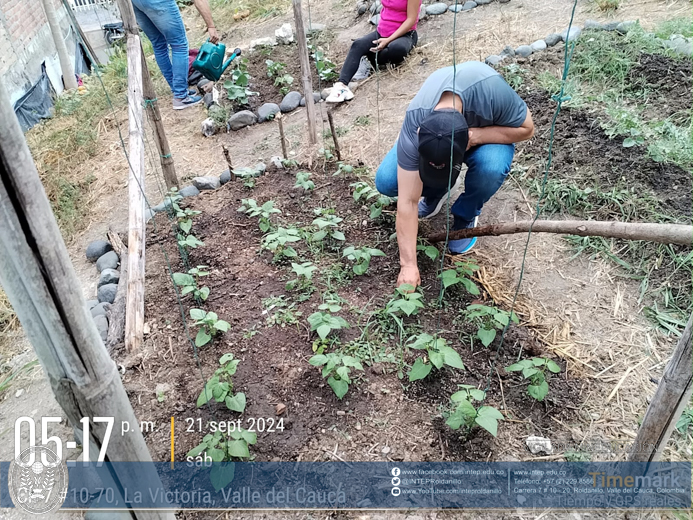 Práctica Horticultura, La Victoria Valle