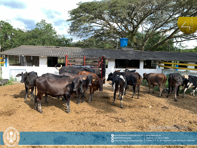 Adquisición de unidades biológicas en CEDEAGRO