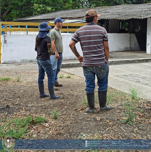 Simulacro de Evacuación Nacional