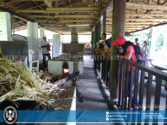 Visita pedagógica PARQUE NACIONAL DE LA UVA