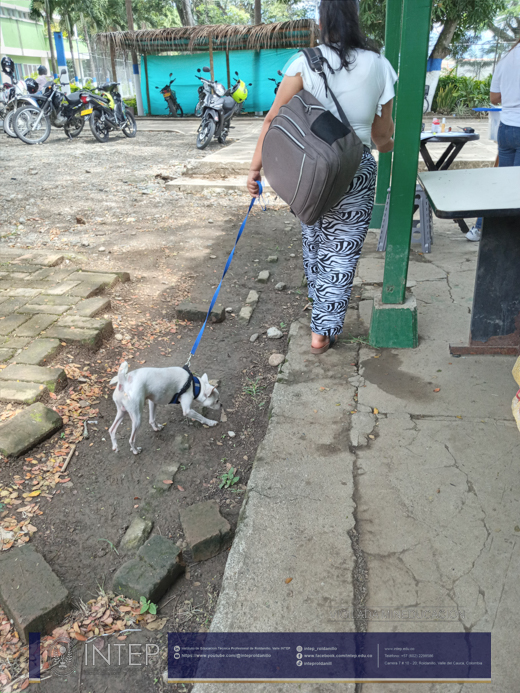  Jornada de Esterilización en la granja CEDEAGRO