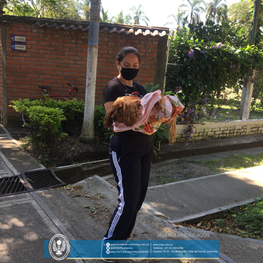 TODO UN ÉXITO LA JORNADA DE ESTERILIZACIÓN (Felina y Canina)