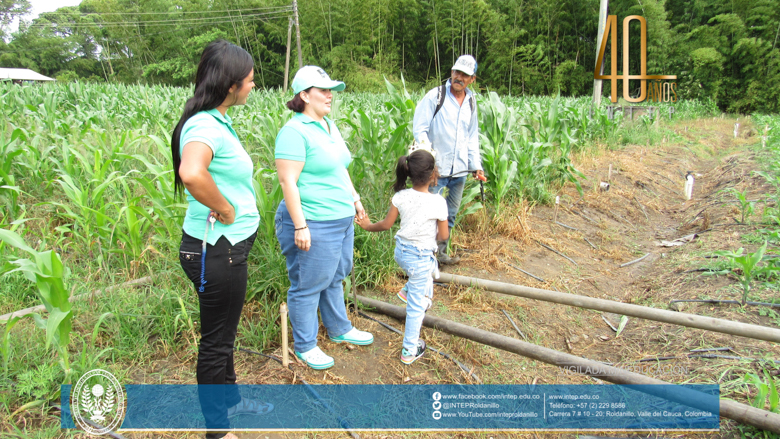 Implementación de un modelo integral sostenible para el cultivo de maíz