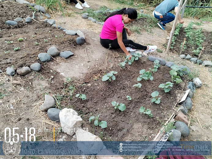 Práctica Horticultura, La Victoria Valle