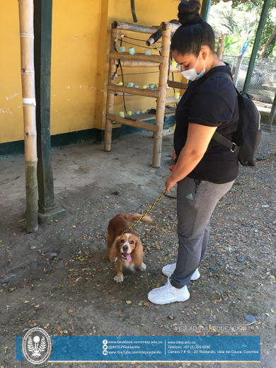 TODO UN ÉXITO LA JORNADA DE ESTERILIZACIÓN (Felina y Canina)